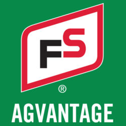 Women's Team rLegend Tee - Light Design