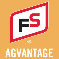 Women's CVC Relaxed T-Shirt - Light Design