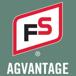 Garment Dyed Ringspun Crewneck Sweatshirt - Light Design