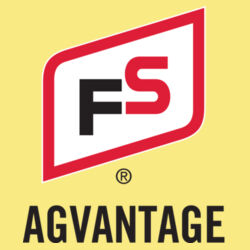 Essential Tee - Dark Design